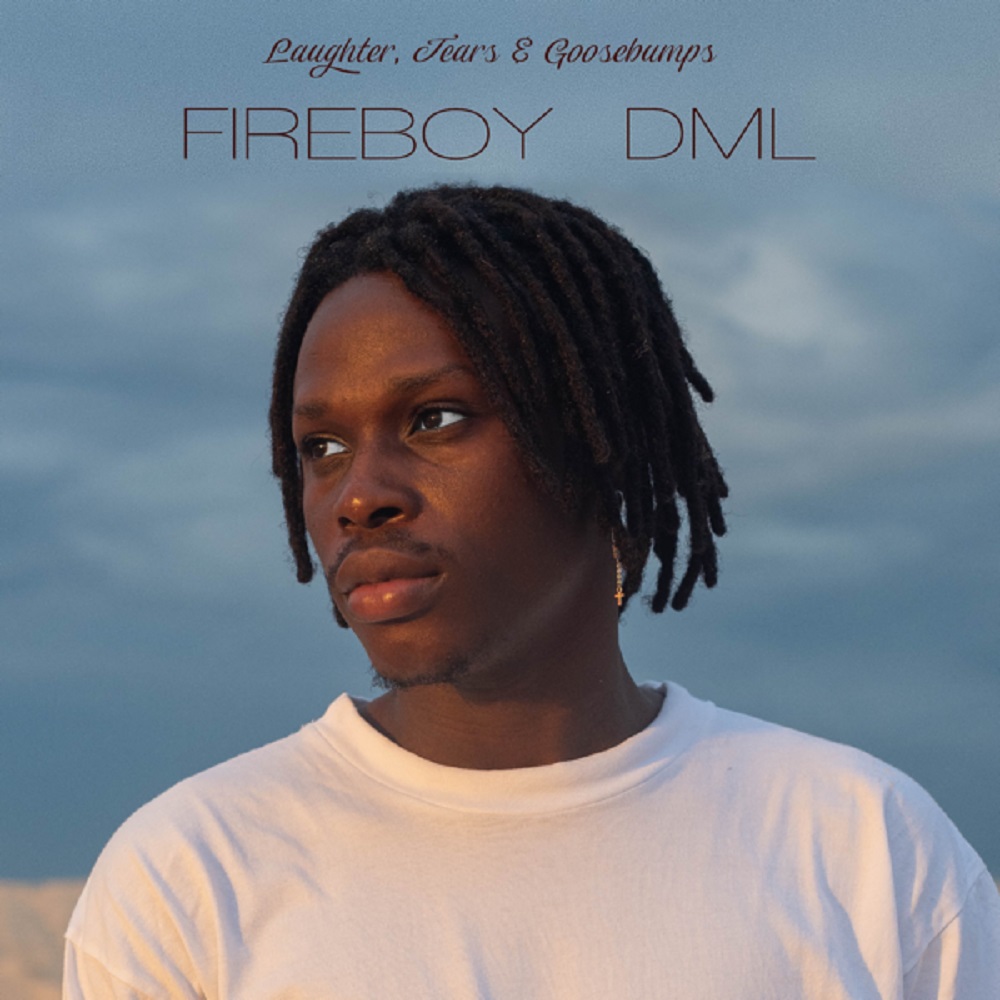 Fire Boy DML – Need You