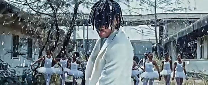Fireboy DML – Vibration Video
