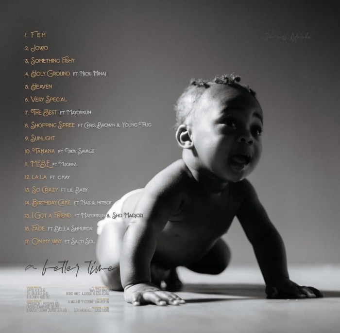 Davido – A Better Time Album